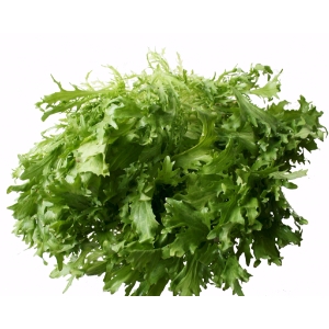 Salat frise   stk