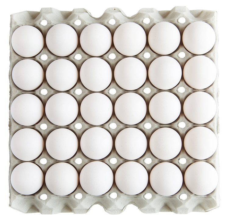 Egg m fra frittgående høner  30stk