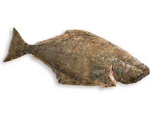 Kveite hel oppdr 3-5kg m/h løs   kg