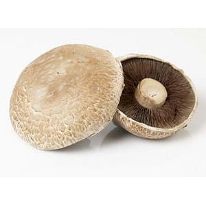 Portobello sopp      kg