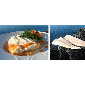 Torskefilet skinn og benfri 125-300g 5kg