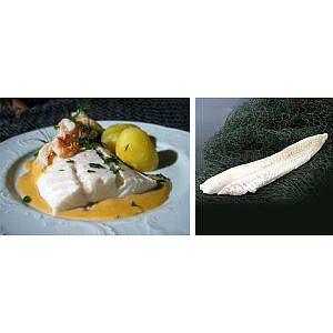 Koljefilet,100-130g     5kg