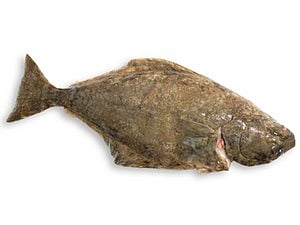 Kveite hel oppdr 3-5kg m/h løs   kg