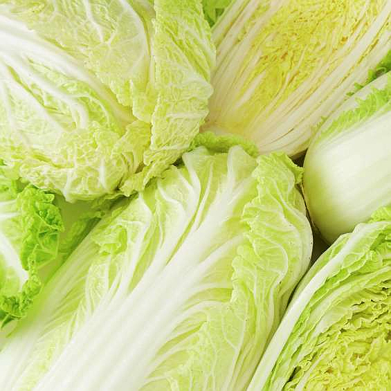 Kinakål økol.   stk