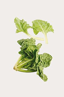 Spinat økol.   125g