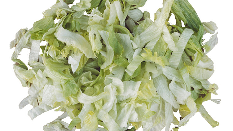 Isbergsalat 10mm kuttet 500g  stk