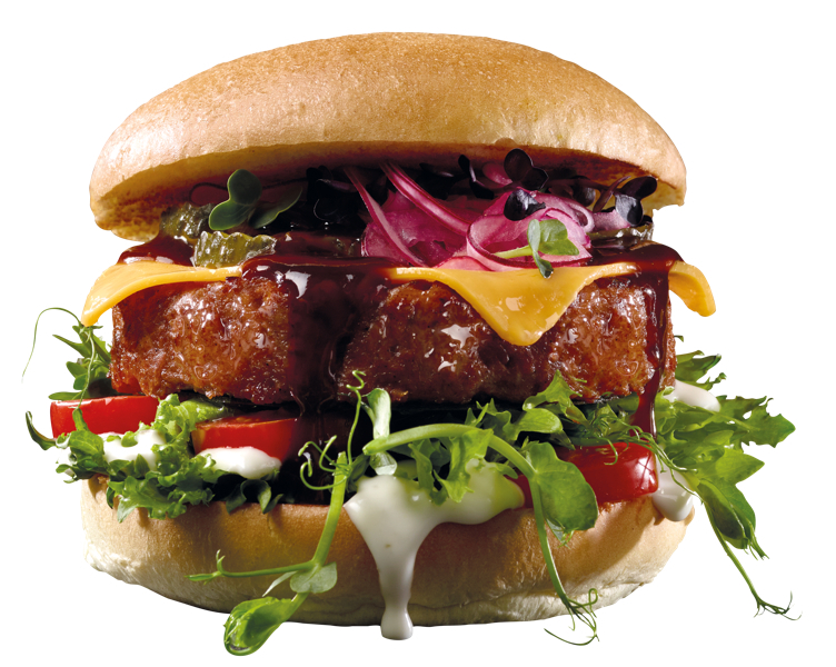 Vegetar burger 39x150g  5,850kg