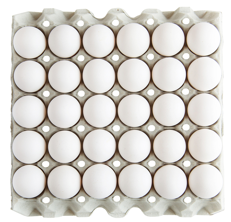 Egg l fra frittgående høner  30stk