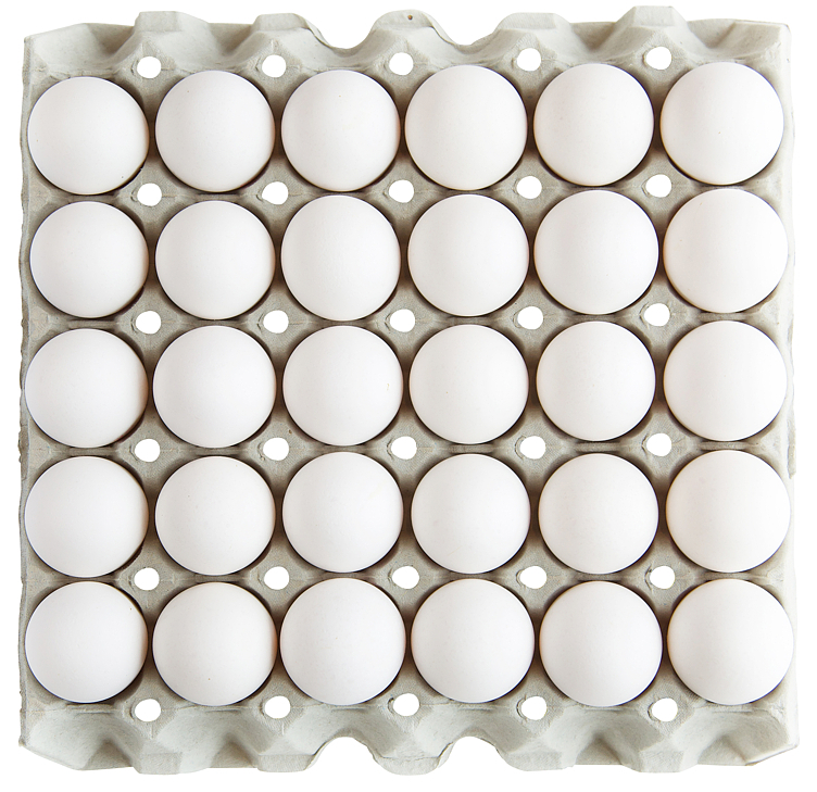Egg fra fridtgående høner m/l24f 30stk  15,12kg