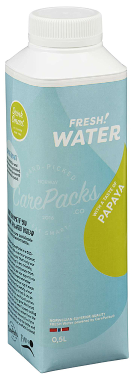 Fresh water papaya   12x0,5l