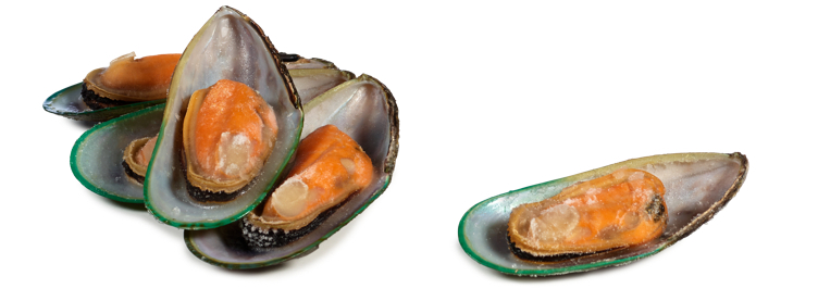 Grønnskjell nz lqf halvskjell 30-34 pr kg  800g