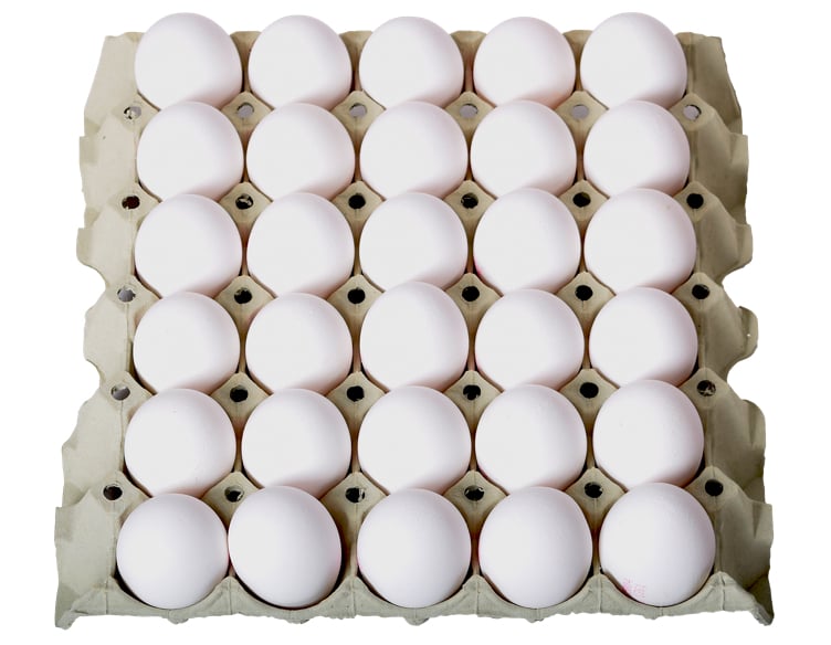 Egg små fra frittgående høner  30stk  1,44kg